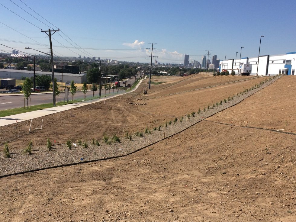 Landscaping Crossroads Commerce Park