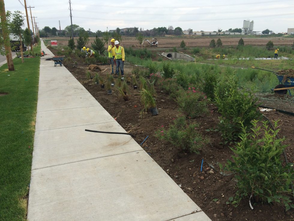 Landscaping Crossroads Commerce Park